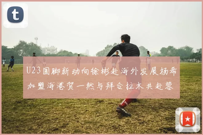 U23国脚新动向徐彬赴海外发展杨希加盟海港贺一然与拜合拉木共赴蓉城